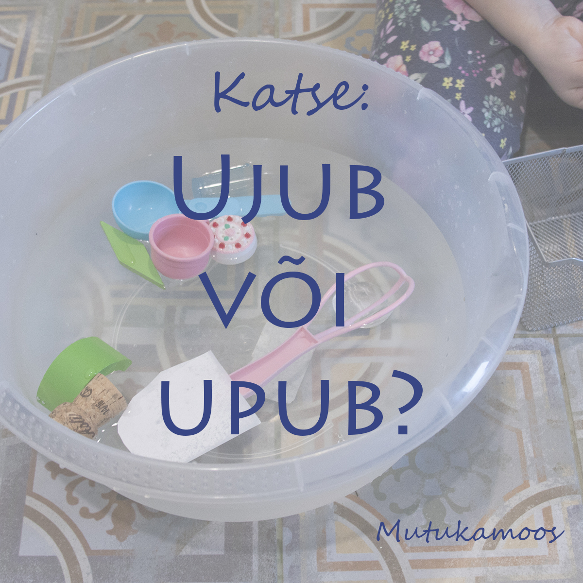 ujub_upub_katse